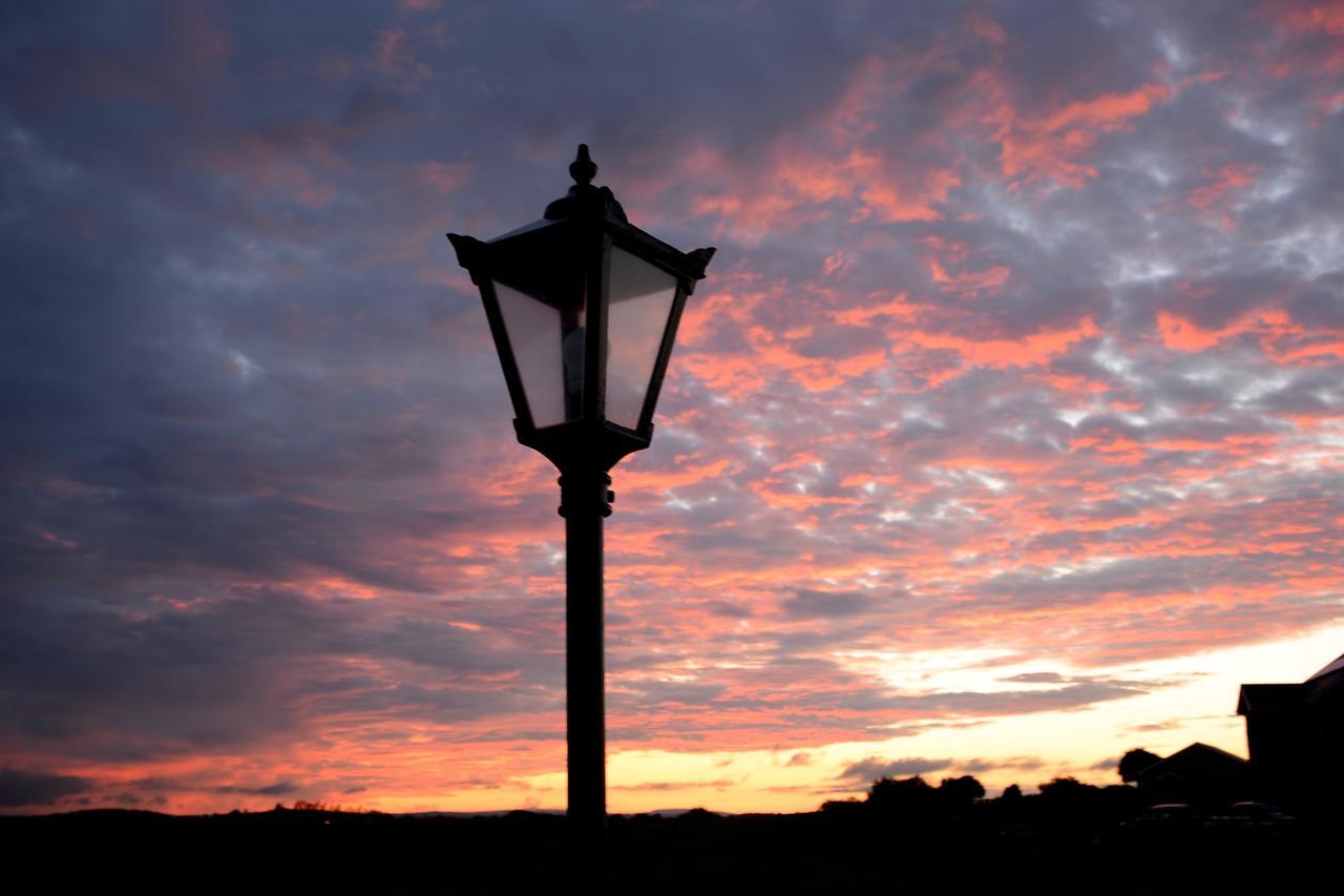Bunratty Meadows Bed & Breakfast Bagian luar foto