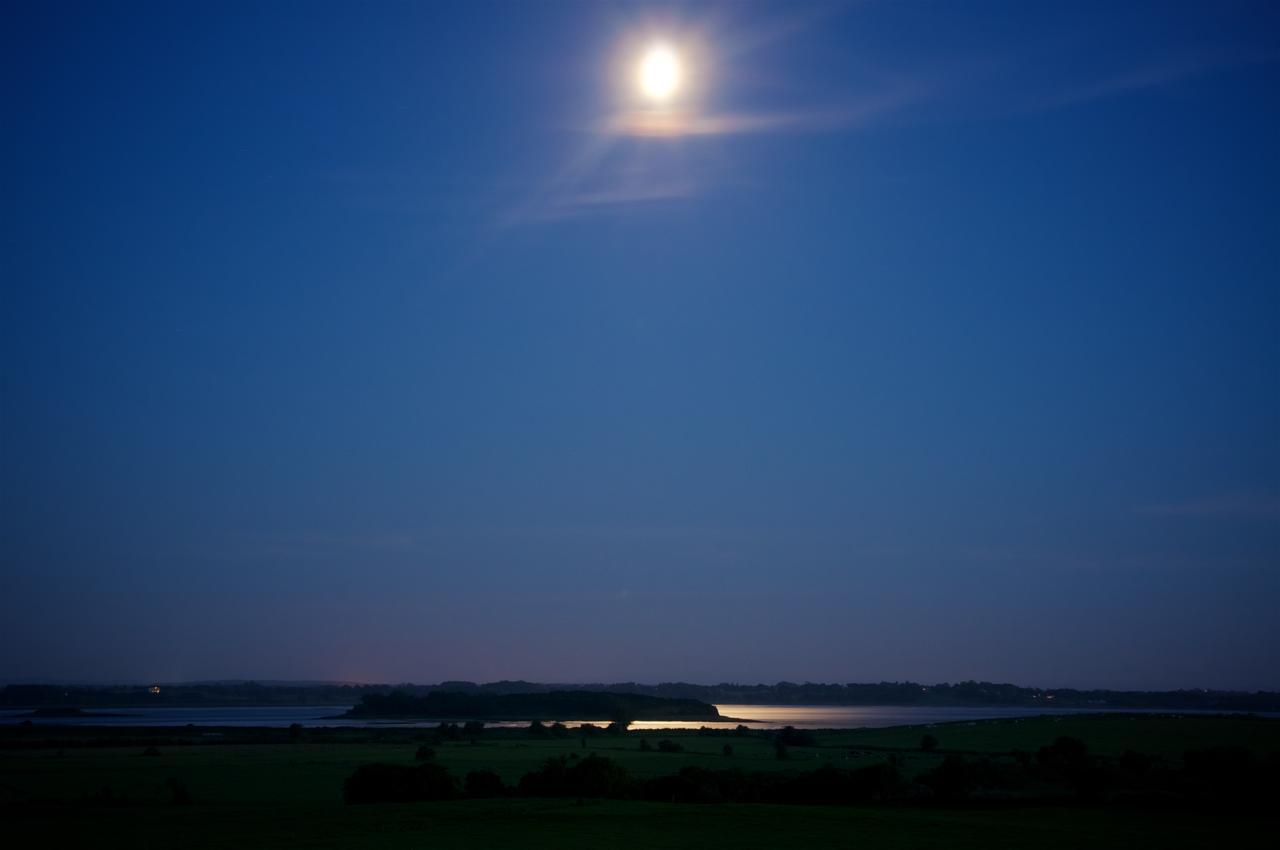 Bunratty Meadows Bed & Breakfast Bagian luar foto